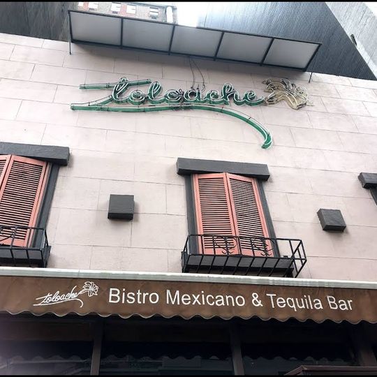 Toloache