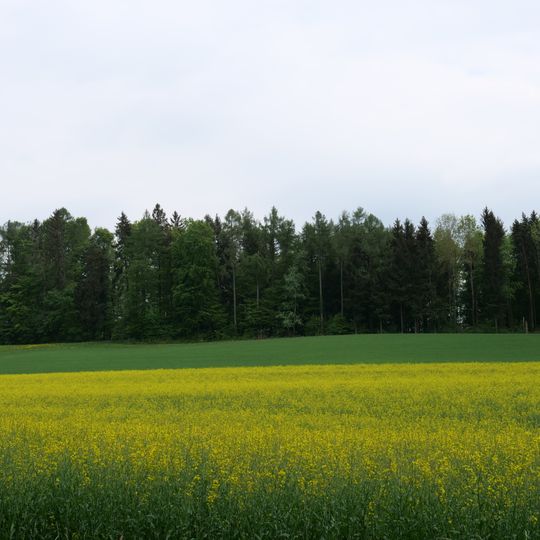 Haidenhaus, römisches Heiligtum