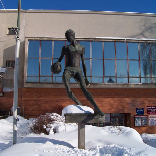 Socha sportovce před sportovní halou na Eliášově nábřeží v Hradci Králové