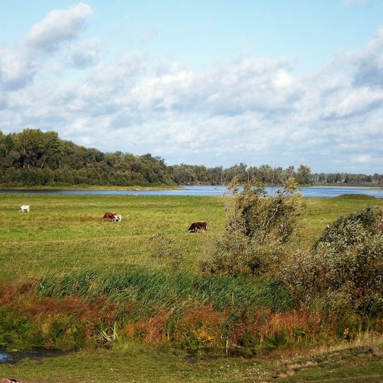 Bol'šeulujskij rajon