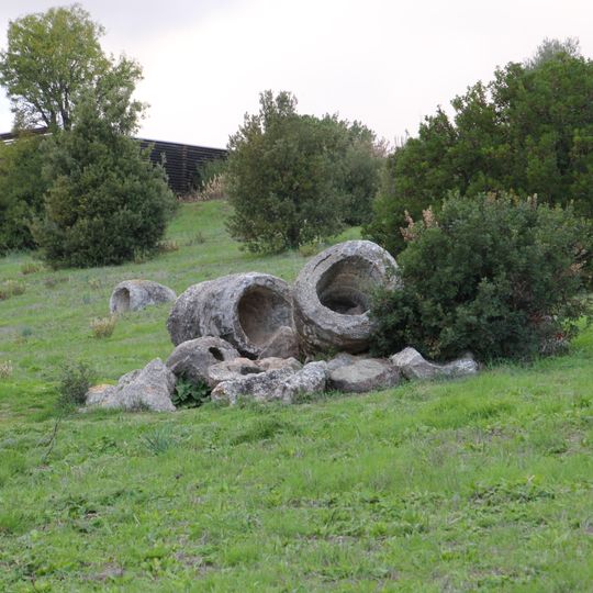 Parco paleobotanico di Carrucana