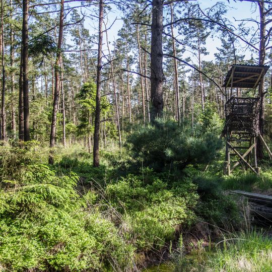 Ahlen-Falkenberger Moor, Seen bei Bederkesa