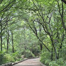Gwangju Park