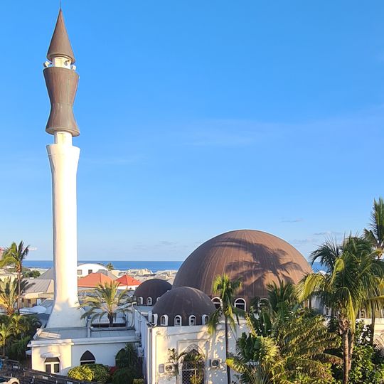 Moschea di Saint-Pierre
