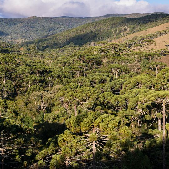Campos do Jordão State Park