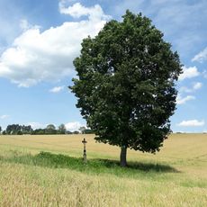 Kříž západně od Velké Chyšky v poli