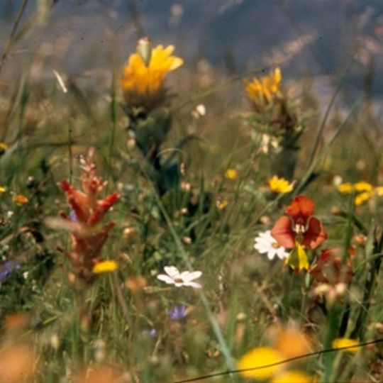 Harmony Flats Nature Reserve