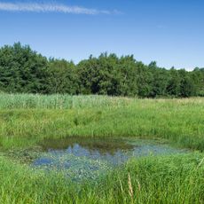 Landgraben- und Dummeniederung