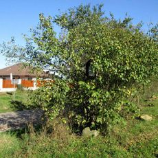 Obrázek ve východní části Žilova