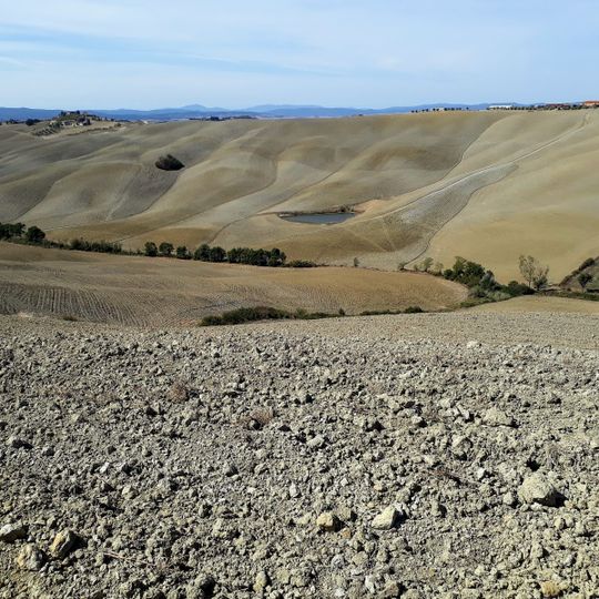 Crete senesi Asciano