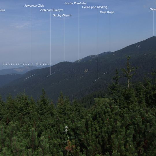 Dolina pod Rzyźnię