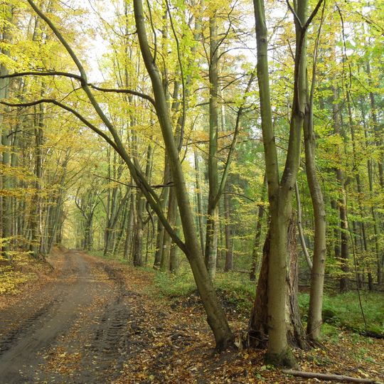Rezerwat przyrody Źródliska w Dolinie Ewy