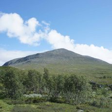 Vålådalen Nature Reserve