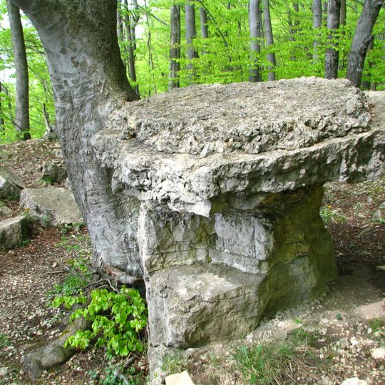Wolfstisch bei Hitzelrode