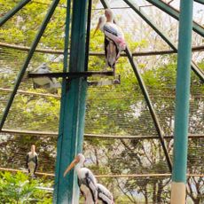 Kurumbapatti Zoological Park