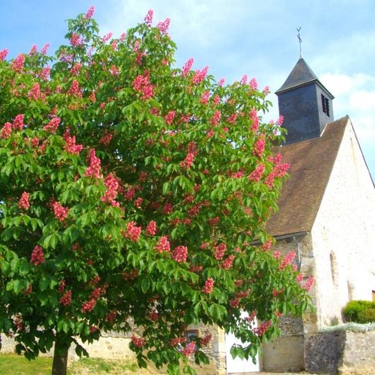 Les Essarts-le-Vicomte