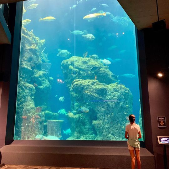 South Carolina Aquarium