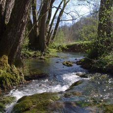 Seckachtal und Schefflenzer Wald