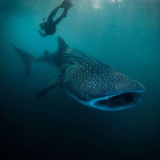 Moyo Satonda National Park