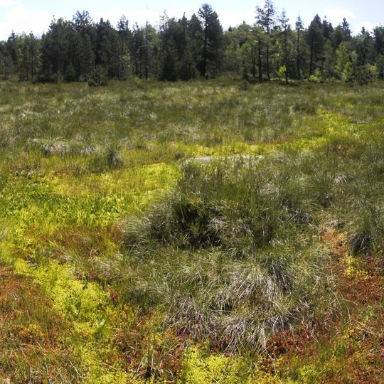 Seigne Des Barbouillons