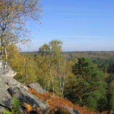Forêt de Fontainebleau