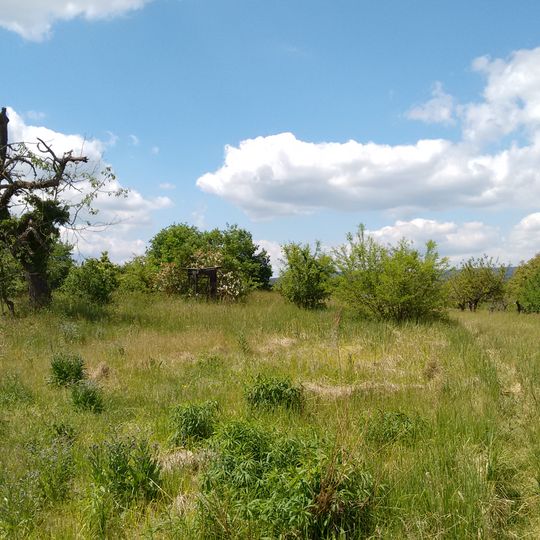 Ingelheimer Dünen und Sande