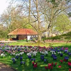 Stadtpark und Botanischer Garten Gütersloh