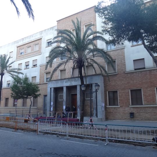 Colegio Mayor