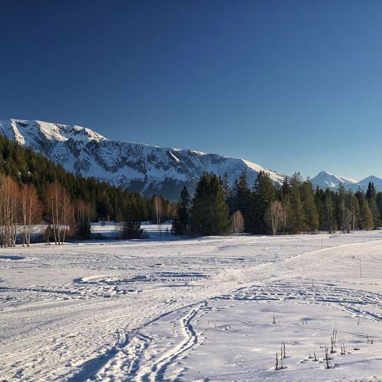Plateau de l'arselle