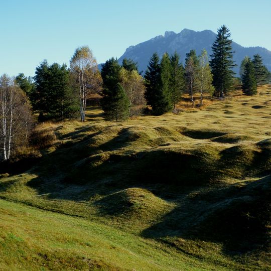 Buckelwiesen SE von Klais