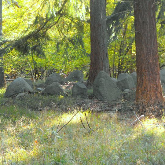 Roden Skov Rundhøj SB 15