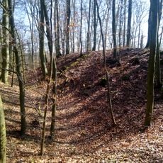 Ringwallanlage auf dem Zargenbuckel