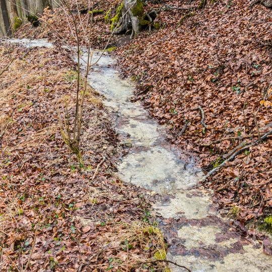Steinerne Rinne von Buckmühle