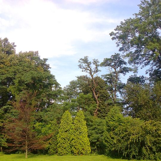 Wysoka, Sucha County