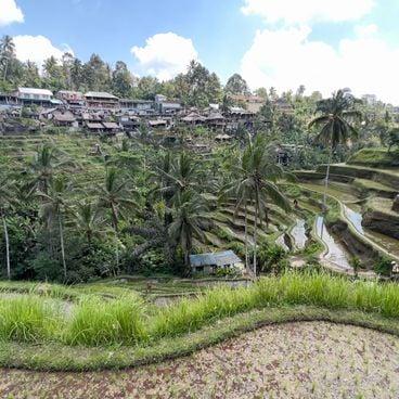 Itinéraires de randonnée à Bali : rizières en terrasses, volcans, cascades