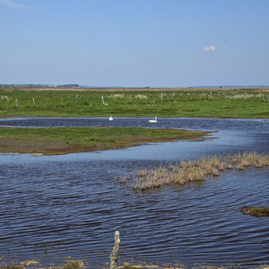 Insel Koos, Kooser See und Wampener Riff