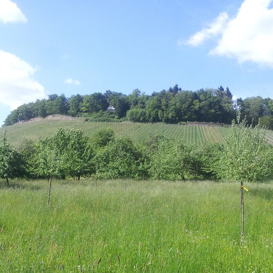 Lemberg und Umgebung