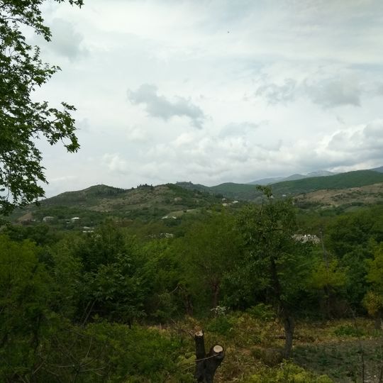 Manavi