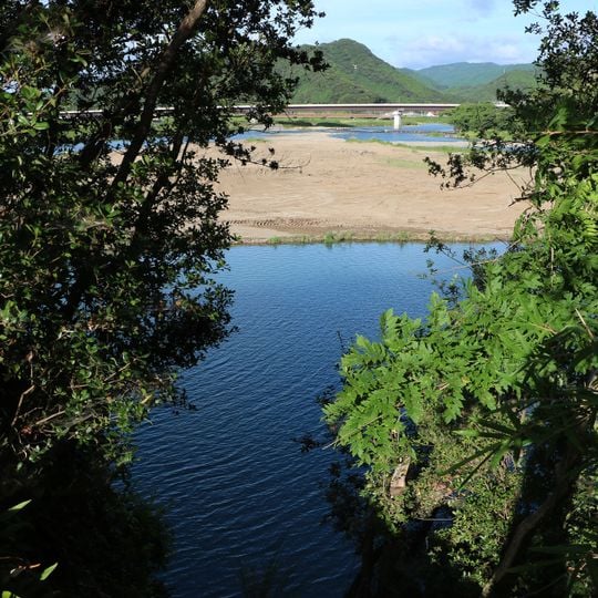 Habitat of Tonda river giant mottle eel