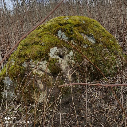 Dongu pēdakmens - kulta vieta