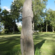 Salebystenen