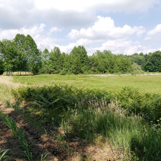 Biotopo torbiera Cichinot