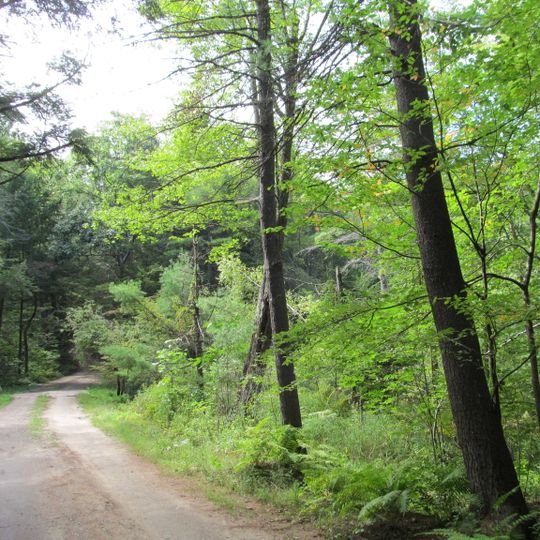 Federated Women's Club State Forest