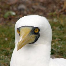Northumberland Islands National Park