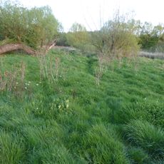 Southfield Farm Marsh