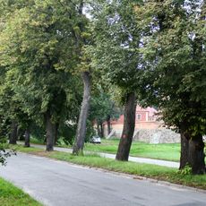 Lipowa Street in Wschowa