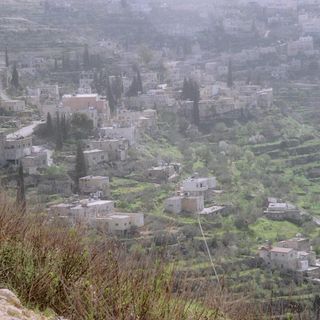 Palestine: Land of Olives and Vines – Cultural Landscape of Southern Jerusalem, Battir