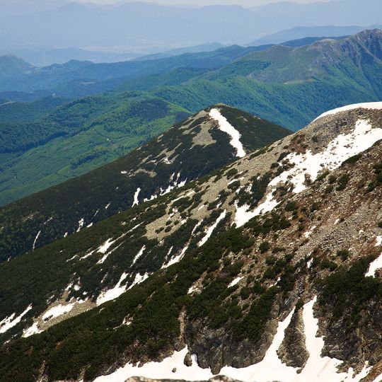 Бойков връх
