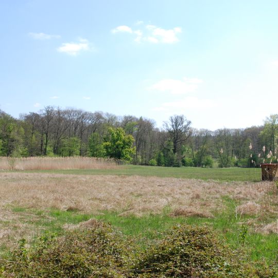 Silzwiesen von Darmstadt-Arheilgen
