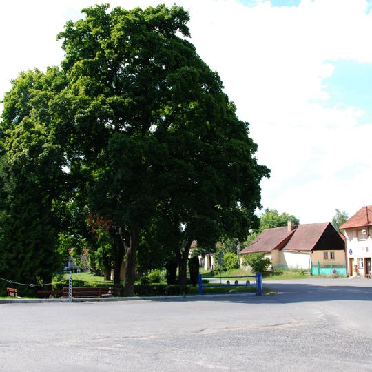 Lípy v Drevníkách